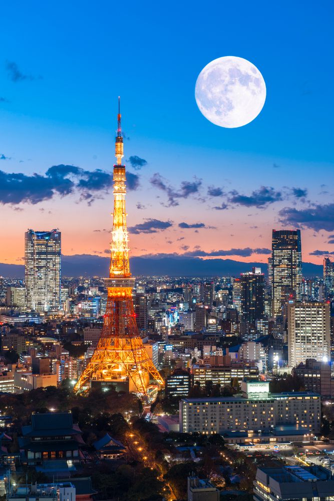 Tokyo skyline and Tokyo Tower